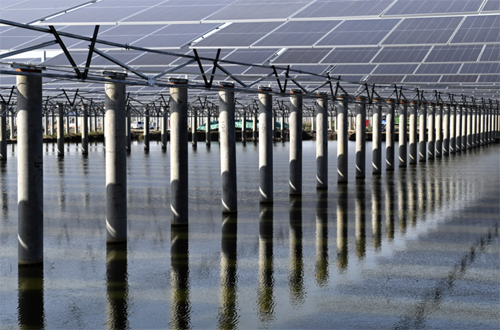 1729151500000068010.png 45dae46bab2548cc88efac30cd9aadcc.png