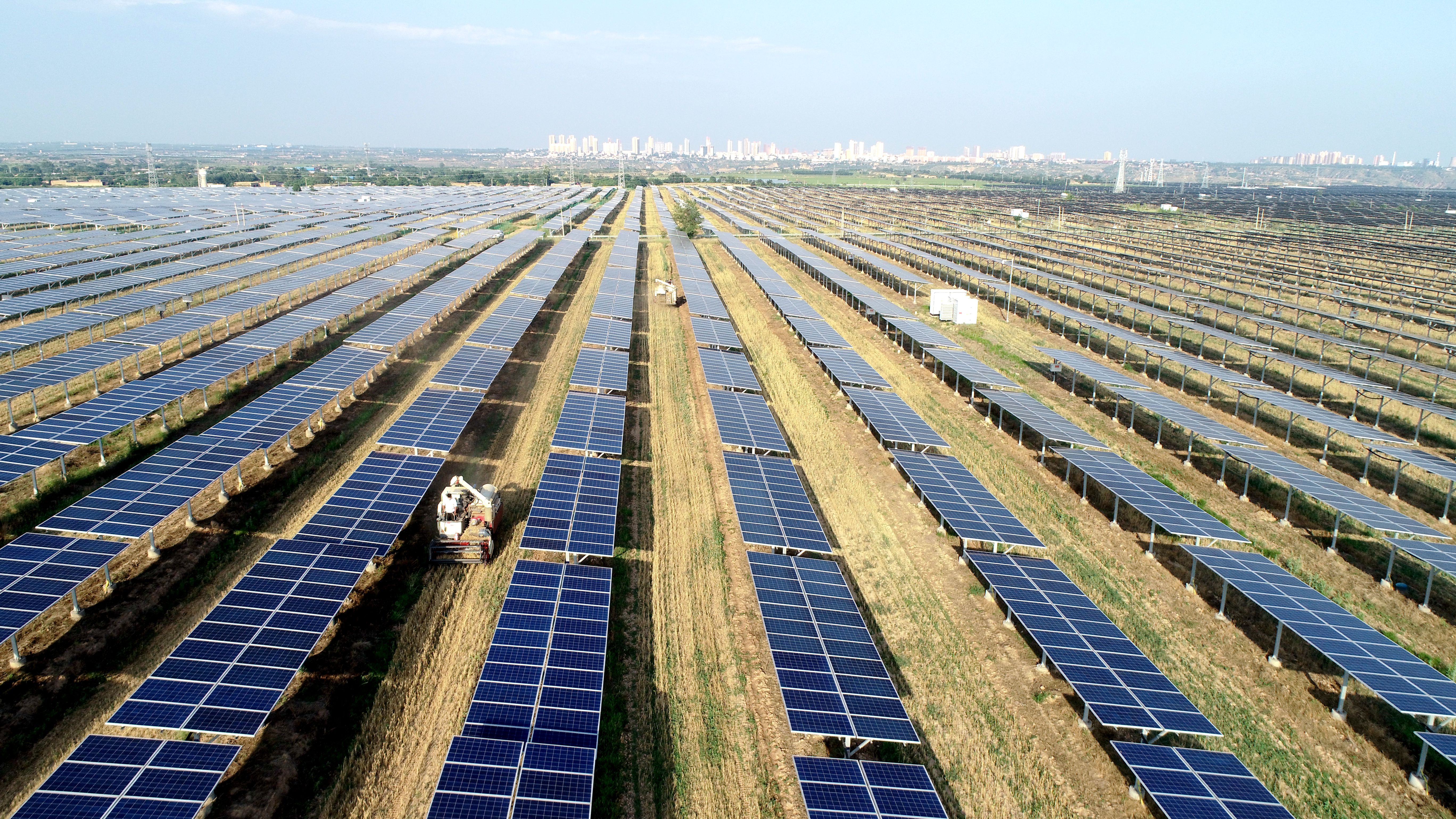 2.大唐澄城安里10萬千瓦農光互補光伏電站采取“農光互補”模式，不僅大大提高土地綜合利用率，還帶動當地村民在家門口就業，促進農民增收。任永紅攝 .jpg