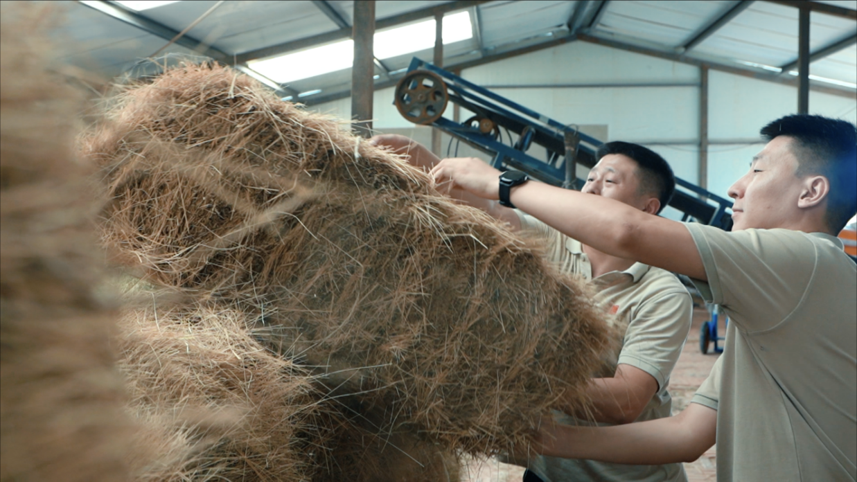 1719974544816080261.png 4.png